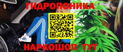мдпв Моздок