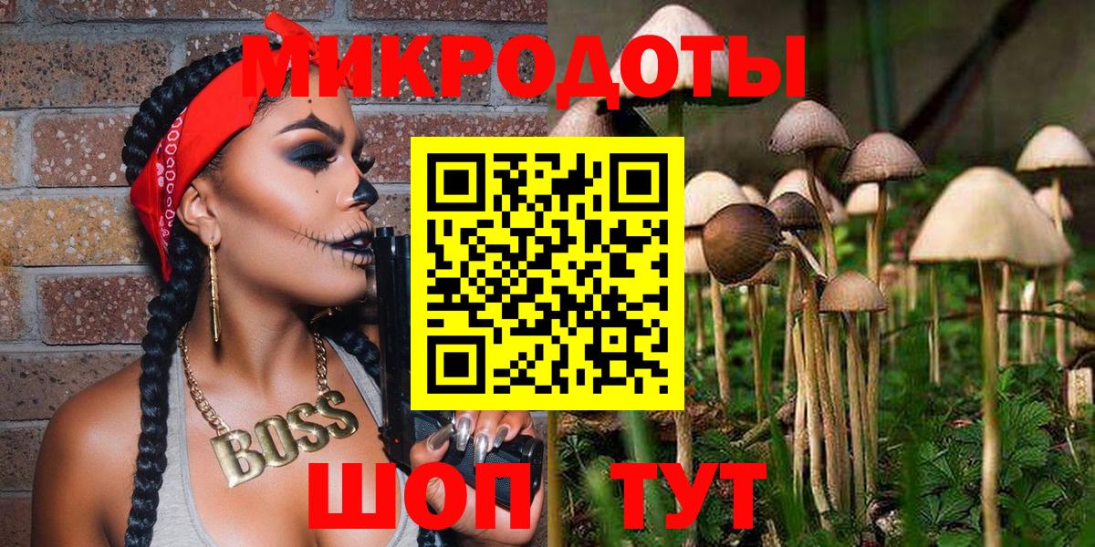 купить закладку  Галлюциногенные грибы прущие грибы  Торжок  Вход с VPN  Галлюциногенные грибы мицелий 